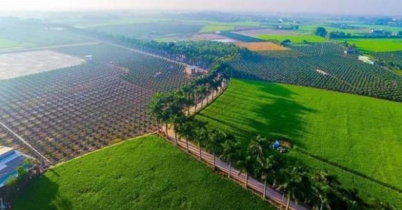 Luật đất đai, quy định tách thửa đất nông nghiệp