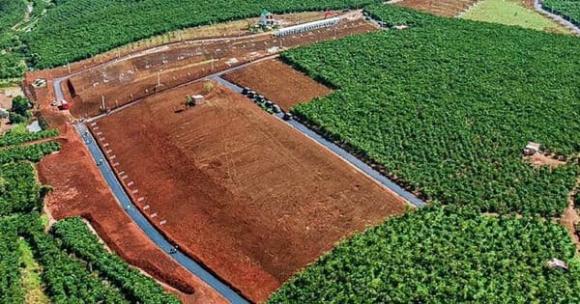 Luật đất đai, quy định tách thửa đất nông nghiệp