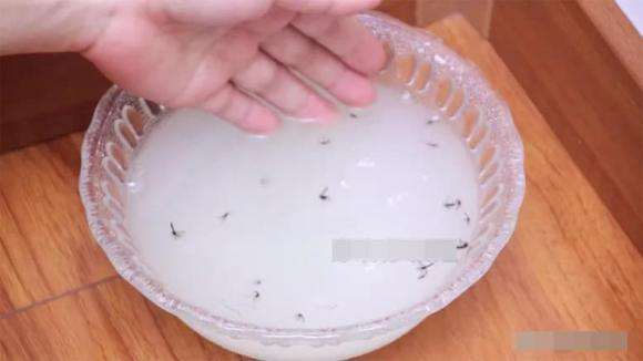 đuổi muỗi
