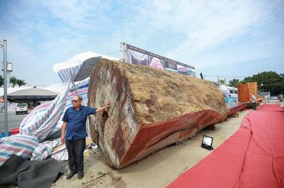 Gỗ quý hiếm, gỗ cẩm lai