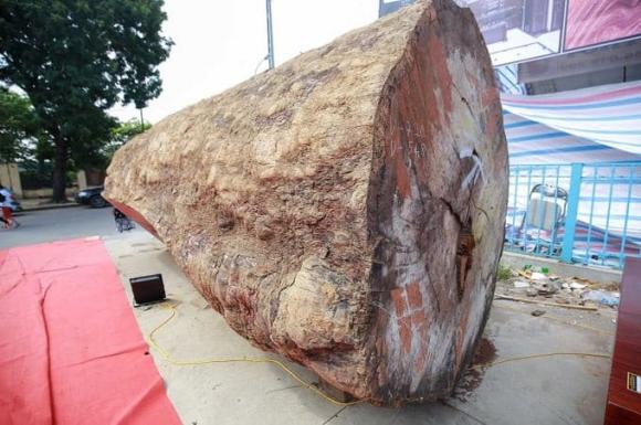 Gỗ quý hiếm, gỗ cẩm lai