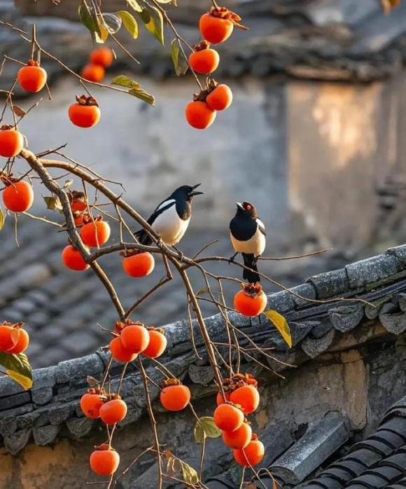 Trắc nghiệm tâm lý