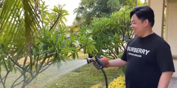 ca sĩ Quang Lê, sao Việt