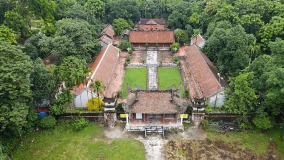 Gỗ sưa, giá trị của gỗ sưa, khối vàng lộ thiên