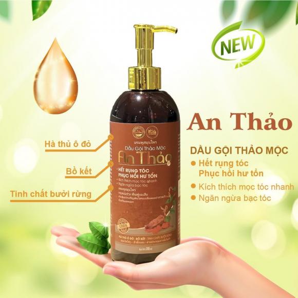 unnamed-7-ngoisaovn-w1200-h1200 3 An Thảo, Dầu gội đầu An Thảo, Bộ gội xả An Thảo