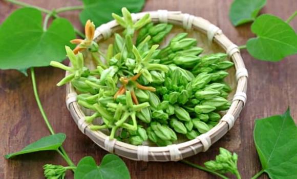 hoa thiên lý, lợi ích hoa thiên lý