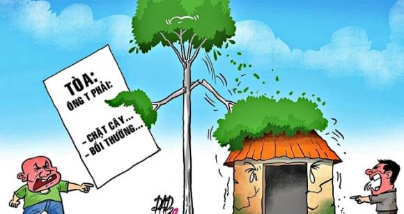 cây đổ, tư vấn luật pháp, đào móng làm sập nhà hàng xóm, cây đổ sập nhà