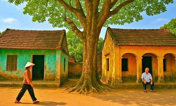 cây đổ, tư vấn luật pháp, đào móng làm sập nhà hàng xóm, cây đổ sập nhà
