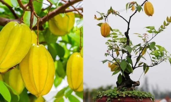 4 thế đất “chiêu tài tụ lộc” hiếm gặp, phong thủy, phong thủy nhà đất