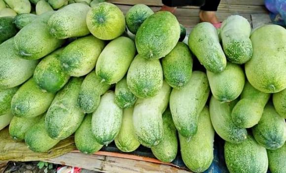 dưa mèo, đặc sản vùng cao, vùng núi Tây Bắc