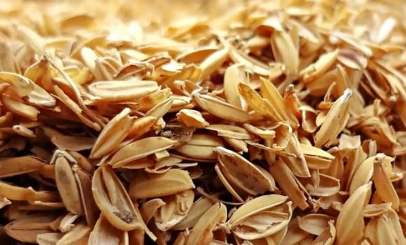 vỏ trấu, mỹ, 'mỏ vàng' xuất khẩu