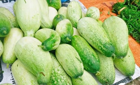 dưa mèo, đặc sản vùng cao, vùng núi Tây Bắc