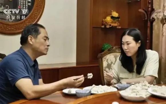 rau chicory, mô hình trồng rau chicory