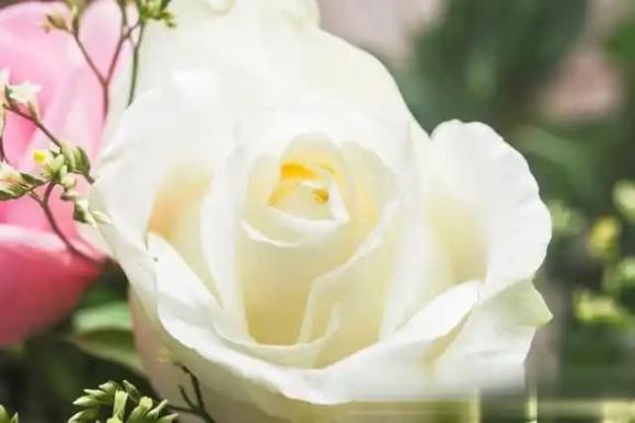 Trắc nghiệm tâm lý