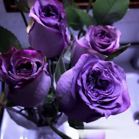 Trắc nghiệm tâm lý