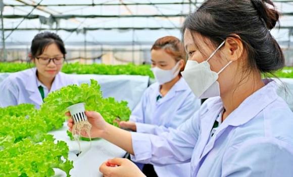 Kinh doanh Nông nghiệp, ngành học, ngành lương cao, ngành không lo thất nghiệp