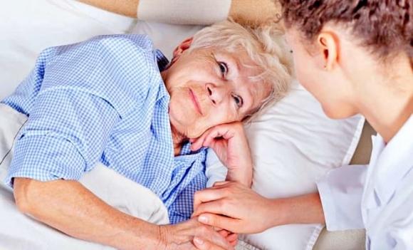 ông ngoại, cháu ngoại, thừa kế, di chúc