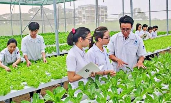 Kinh doanh Nông nghiệp, ngành học, ngành lương cao, ngành không lo thất nghiệp