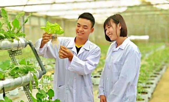 Kinh doanh Nông nghiệp, ngành học, ngành lương cao, ngành không lo thất nghiệp