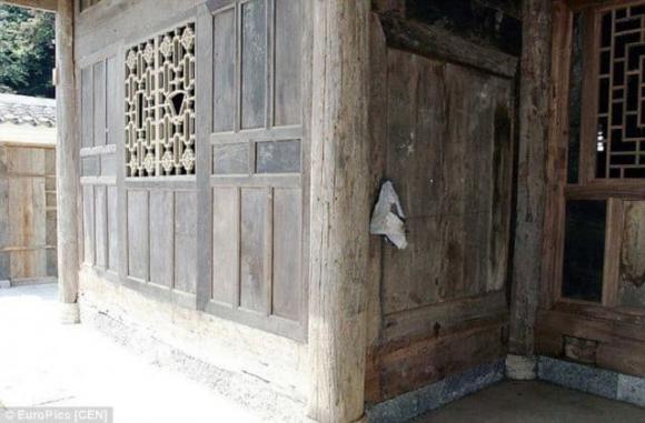 Nhà xây bằng gỗ quý, gỗ trinh nam