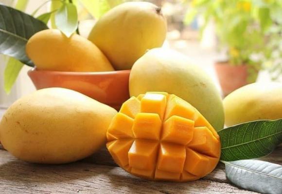 Top 10 Loại quả ngon nhất Đông Nam Á, Dừa Bến Tre, Xoài Hòa Lộc