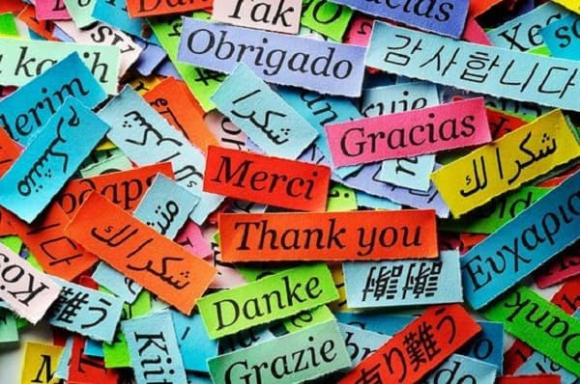 Ngành nghề cho người không giỏi toán, nghề dễ xin việc, nghề kiếm nhiều tiền