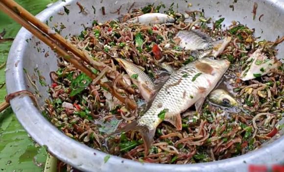 ẩm thực Việt Nam, Vũ nữ chân dài miền Tây, Gỏi cá nhảy Sơn La, Chả rươi Hà Nội, Thịt chuột đồng miền Tây, Thắng cố Sa Pa