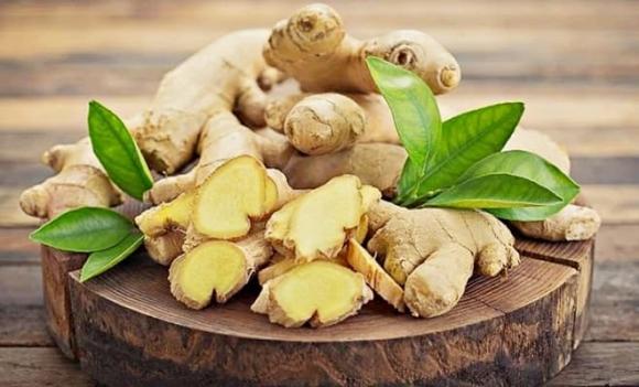 gừng, nghệ, Kho báu dưới lòng đất
