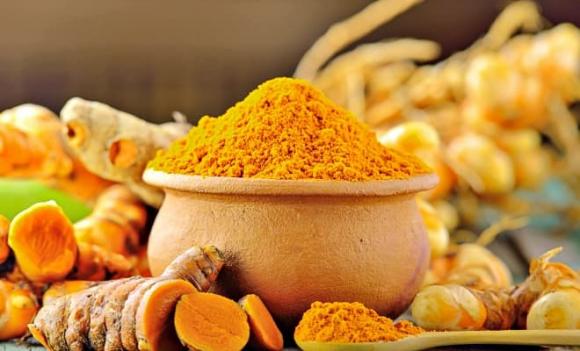 gừng, nghệ, Kho báu dưới lòng đất