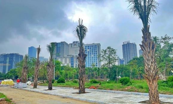Công viên Cầu Giấy, Hà Nội,