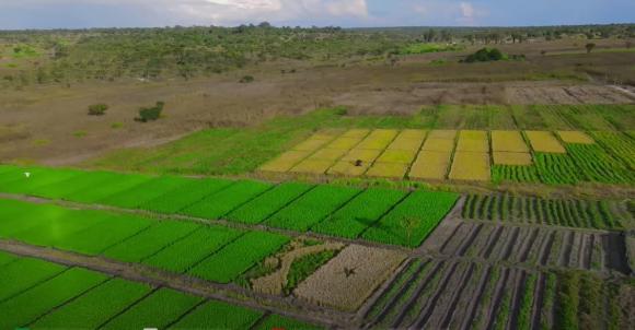 Quang Linh Vlogs, trang trại Quang Linh Vlogs, giới trẻ 