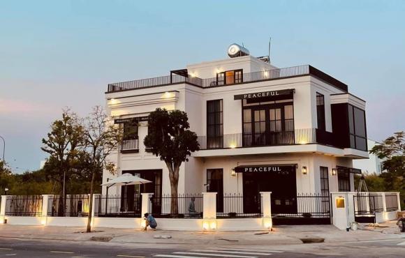 diễn viên Quốc Trường, sao Việt