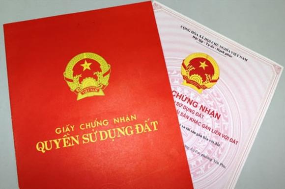 Sổ đỏ hộ gia đình, quyền thừa kế của con dâu