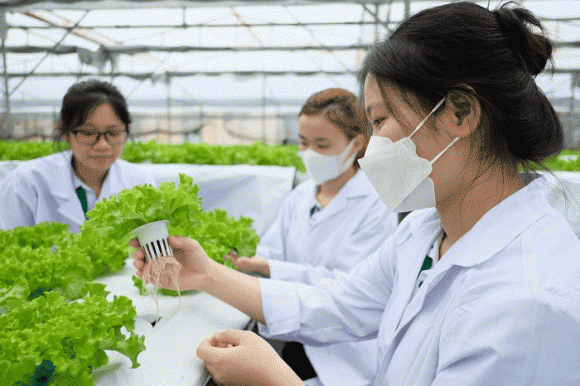 ngành học, chọn ngành học, kiến thức