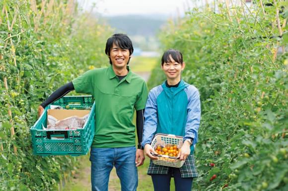 ngành học, chọn ngành học, kiến thức