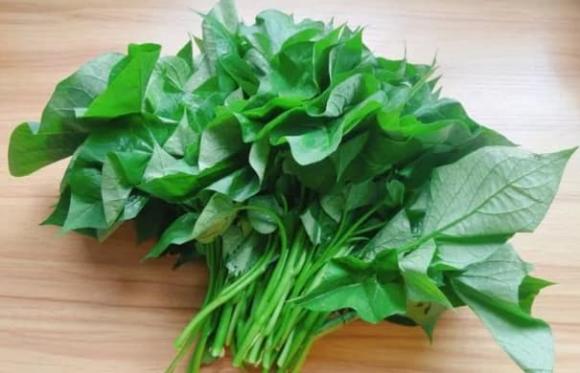 rau nhiều canxi