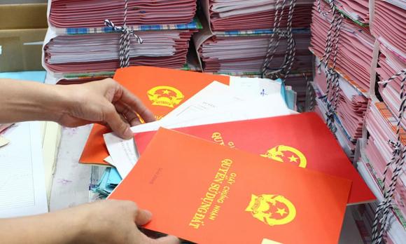 diễn viên Hồng Đăng, sao Việt