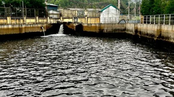 Mỏ vàng, phát hiện mỏ vàng trong hồ nước thải