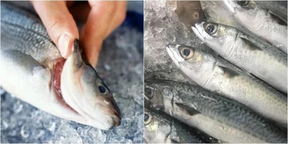 cách chọn cá tươi, kinh nghiệm chọn cá, mẹo chọn cá