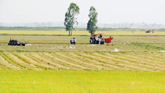 Luật đất đai, thu hồi đất nông nghiệp sẽ được bồi thường bằng nhà ở