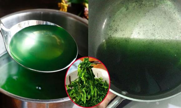 rau muống nhiễm độc