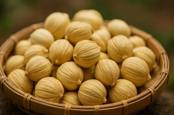 bạch đậu khấu, công dụng của bạch đậu khấu