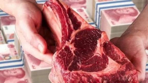 thịt bò, làm thịt bò giả, kiến thức