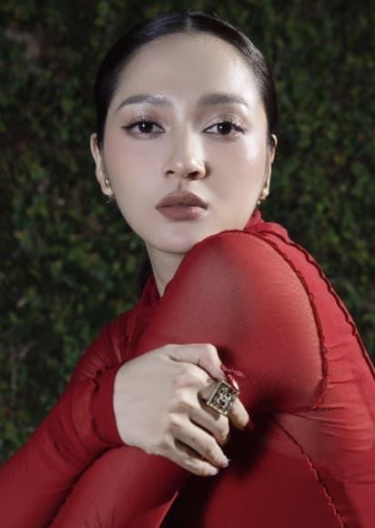 Tuệ Như, Bảo Anh, sao Việt 