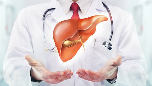 giải độc gan, gan nhiễm độc, gan nhiễm mỡ