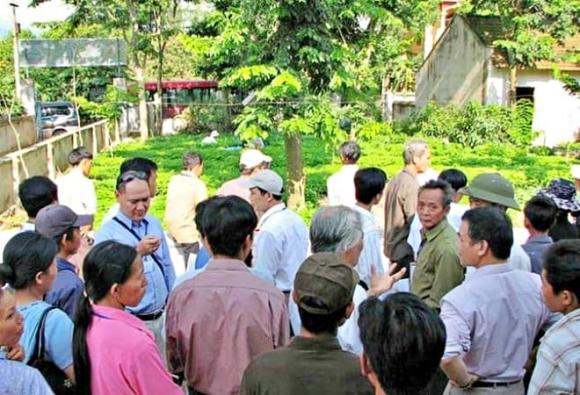 gỗ sưa đỏ, gỗ quý, gỗ đắt như vàng, khối vàng lộ thiên