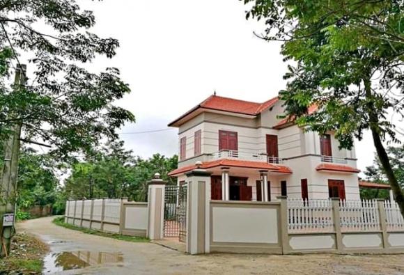gỗ sưa đỏ, gỗ quý, gỗ đắt như vàng, khối vàng lộ thiên