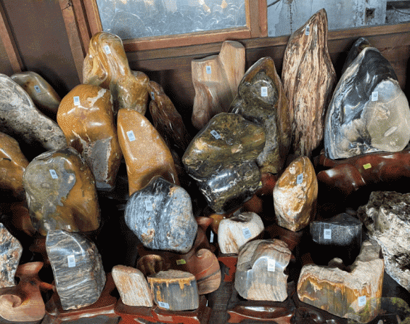 gỗ quý, cây gỗ hóa ngọc, kiến thức