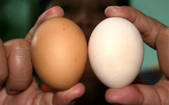 Trứng gà nên chọn quả to hay nhỏ, cách chọn trứng gà, mẹo hay