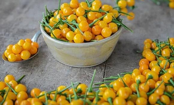 Ớt Aji Charapita, Loại quả đắt đỏ bậc nhất thế giới